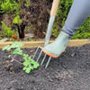 Stainless border fork with a smaller head and wooden handle, shown digging soil near a small leafy plant, ideal for precise cultivation in Farm, Garden & Tool, Digging and Cultivating, Garden Accessories, Lawncare, Best Sellers, and Promo Eligible collections.