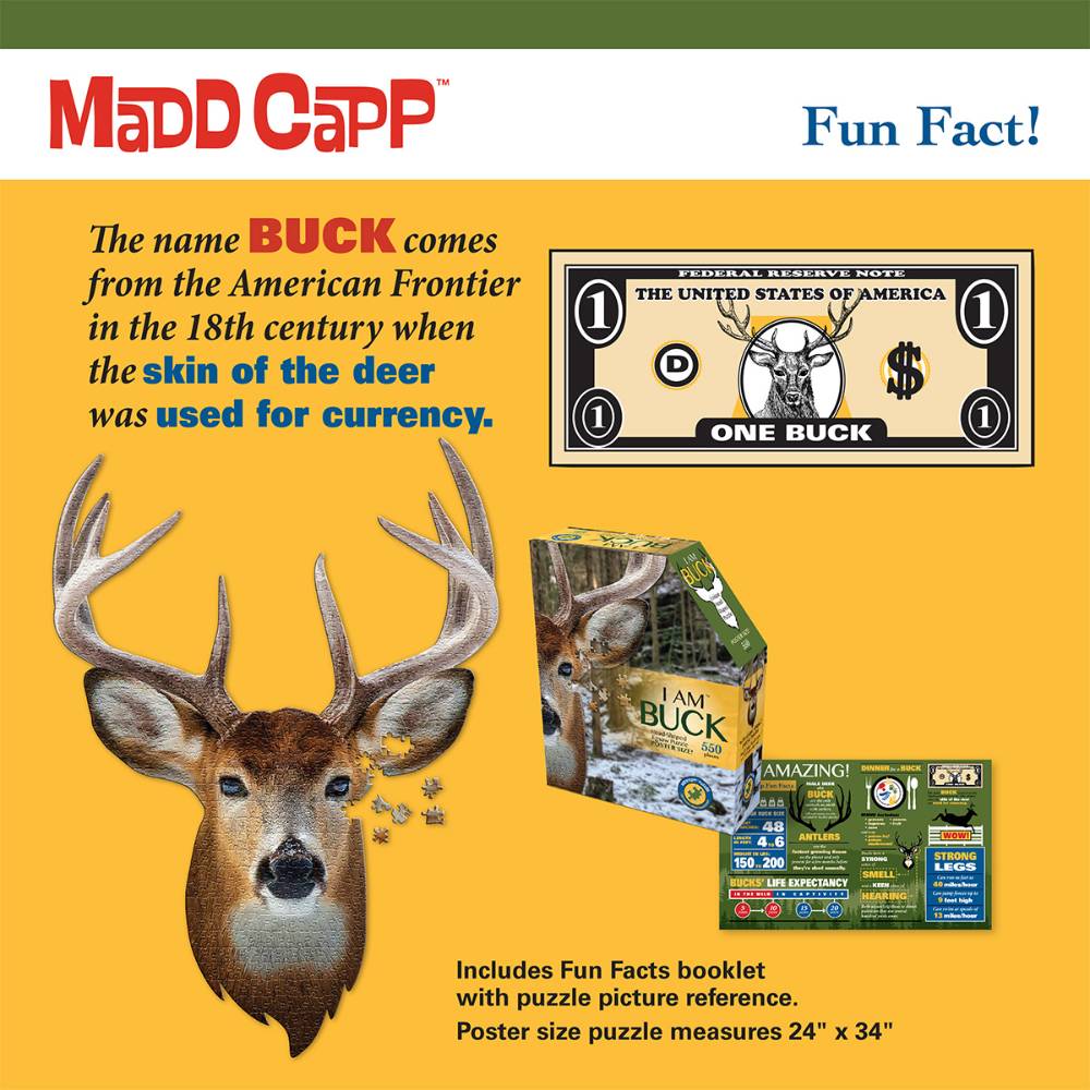 Educational puzzle insert illustration explaining the origin of the word "buck" with a deer head image, a novelty one-dollar bill design, and packaging photos, ideal for Toys, Books & Games and Best Sellers collections.