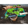 Handcrafted transplanter with an ash wood handle and narrow blade, shown with green seedlings and terracotta pots, ideal for Farm, Garden & Tool and Digging and Cultivating collections.