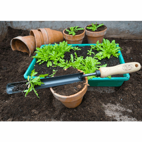 Handcrafted transplanter with an ash wood handle and narrow blade, shown with green seedlings and terracotta pots, ideal for Farm, Garden & Tool and Digging and Cultivating collections.
