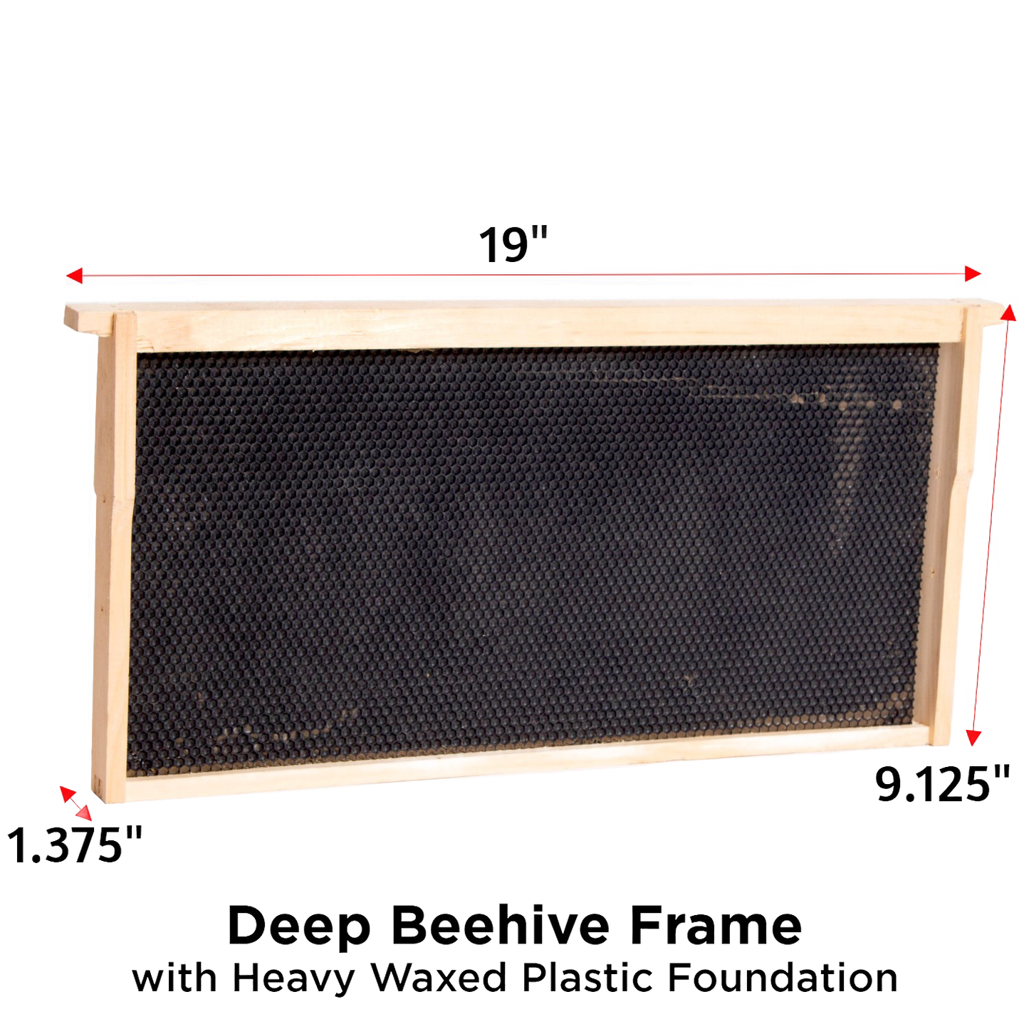 Handcrafted Amish made deep wood bee frame with sturdy heavy waxed plastic foundation, designed for 5, 8, and 10-frame hives; part of USA Made and Beekeeping Supplies collections.