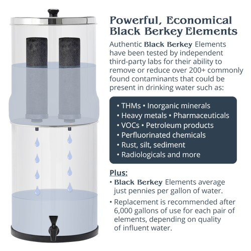 Gravity-fed water filtration system with two black replacement filter elements removing contaminants like heavy metals, pharmaceuticals, and sediment, featured in appliances and water treatment collections.