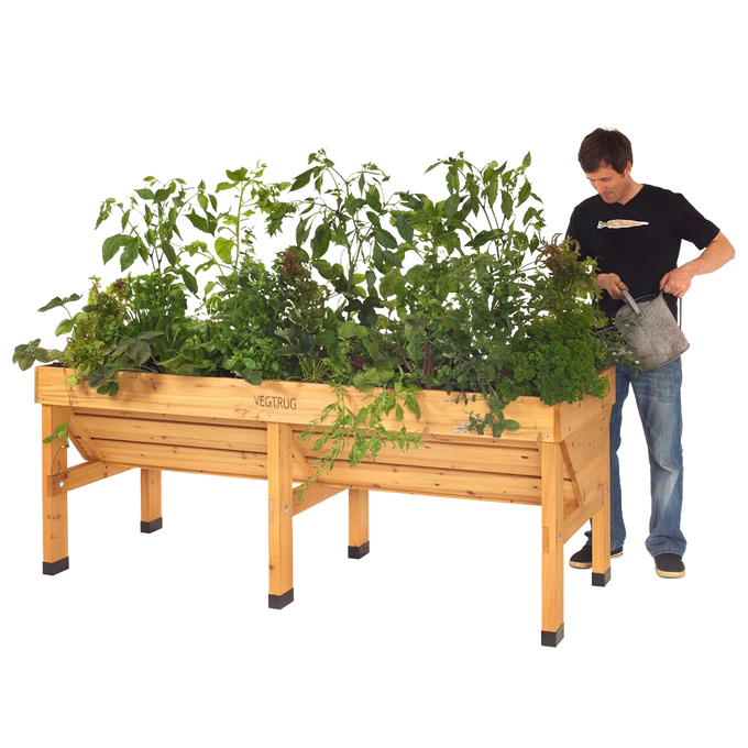 Man watering a handcrafted wooden elevated garden bed filled with lush vegetable plants, ideal for space-saving planting in Farm, Garden & Tool and Best Sellers collections.