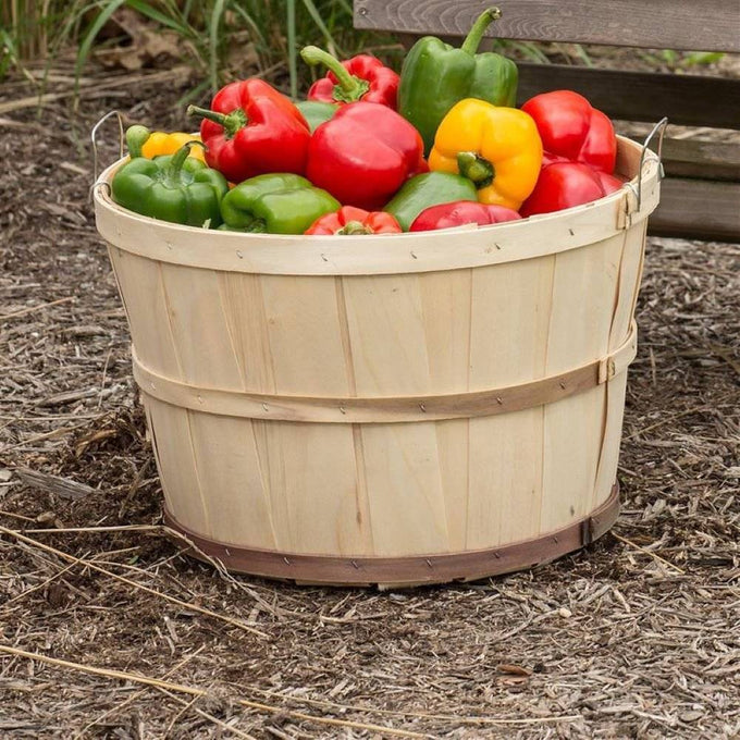 Handcrafted Old-Time poplar wood bushel basket with metal wire bands, filled with red, green, and yellow bell peppers, ideal for Farm, Garden & Tool, Garden Accessories, USA Made, and Best Sellers collections.