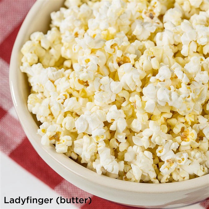 Bowl of light, fluffy butter-flavored popcorn made from unique heirloom kernels, perfect for a quick snack, featured in Kitchen & Food, Snacks and Sweets, USA Made collections.