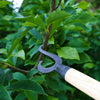 Close-up of a hand-forged metal branch hook with a smooth ash wood handle engaging a leafy tree branch, part of Farm, Garden & Tool and Apple Harvest Supplies collections.