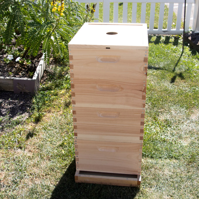 Handcrafted Amish made 10-frame hive box with a notched inner cover featuring center ventilation hole, designed for moisture control and airflow in beekeeping, USA made.