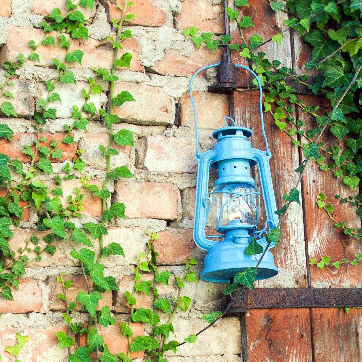 Handcrafted light blue galvanized oil lantern with durable thermal heat-resistant globe, hanging on rustic wooden door surrounded by green ivy, perfect for Camping, Lamps & Lighting, and Emergency Supplies collections.