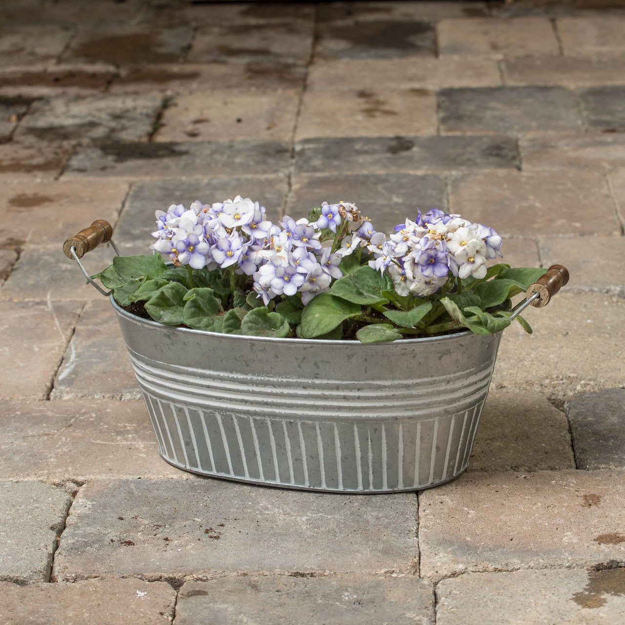 Galvanized basin planter with white wash finish and wooden-grip handles, filled with blooming violet flowers, ideal for Farm, Garden & Tool, Garden Accessories, Seeds and Planting, Best Sellers, and Promo Eligible collections.