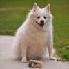 Fluffy white dog sitting on a concrete path next to a natural, handcrafted deer antler chew, featured in Home & Decor, Pet Supplies, USA Made, Best Sellers, and Promo Eligible collections.