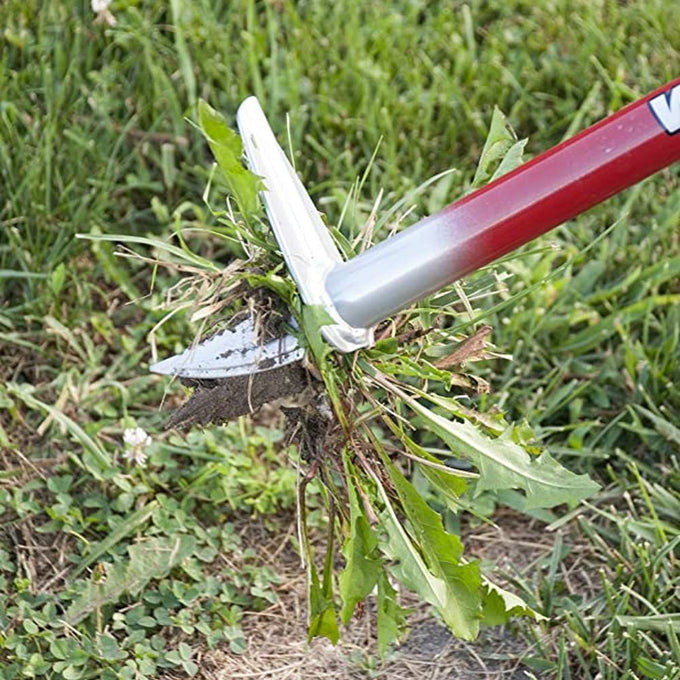 Close-up of a handcrafted long-handled weeder tool with a red metal shaft and steel tines ejecting a dandelion weed from green grass, part of Farm, Garden & Tool and Digging and Cultivating collections.