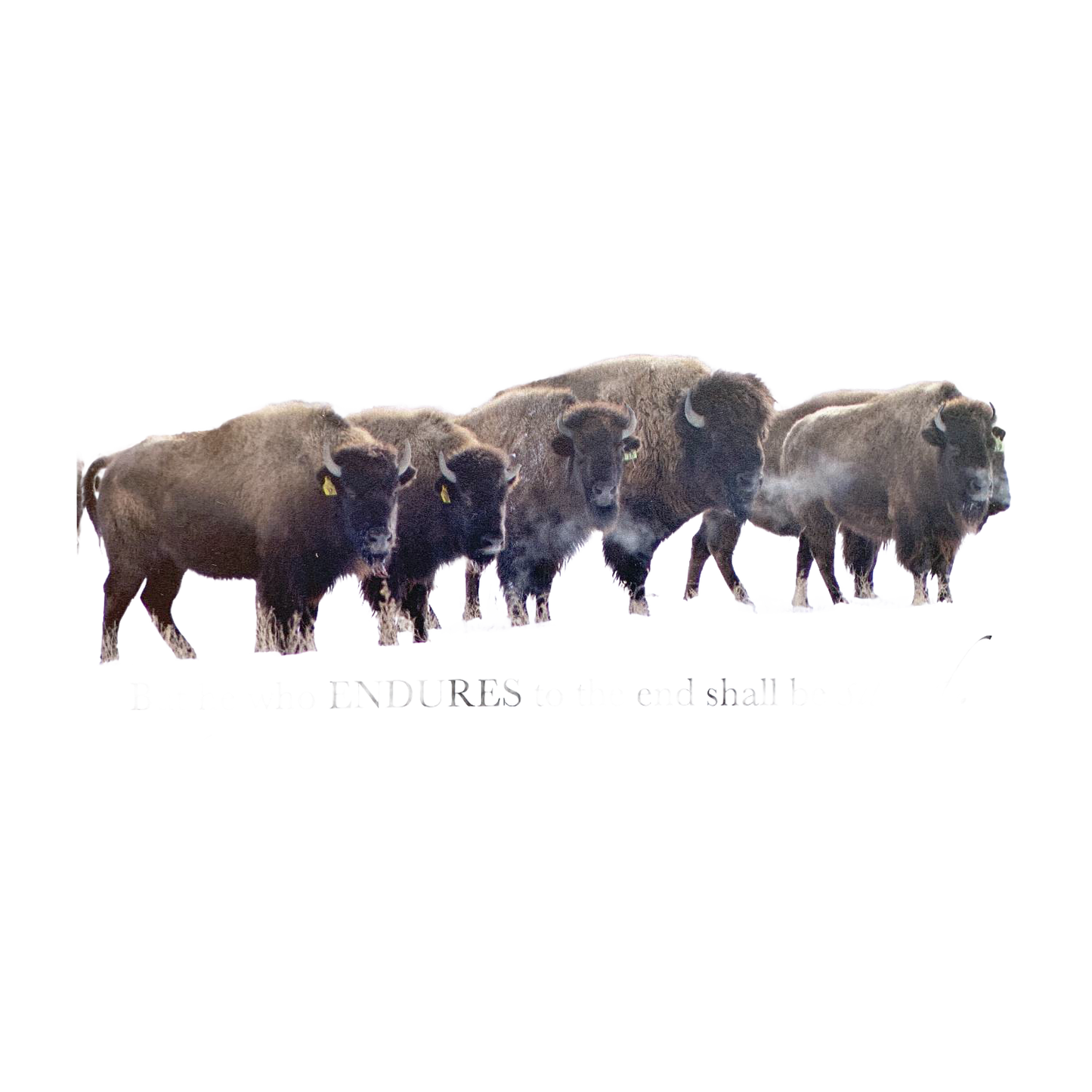 Handcrafted animal magnet featuring a herd of five bison with an inspiring verse, perfect for Home & Decor, Decor, Best Sellers, and Promo Eligible collections.