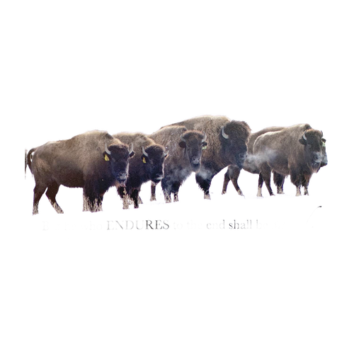 Handcrafted animal magnet featuring a herd of five bison with an inspiring verse, perfect for Home & Decor, Decor, Best Sellers, and Promo Eligible collections.