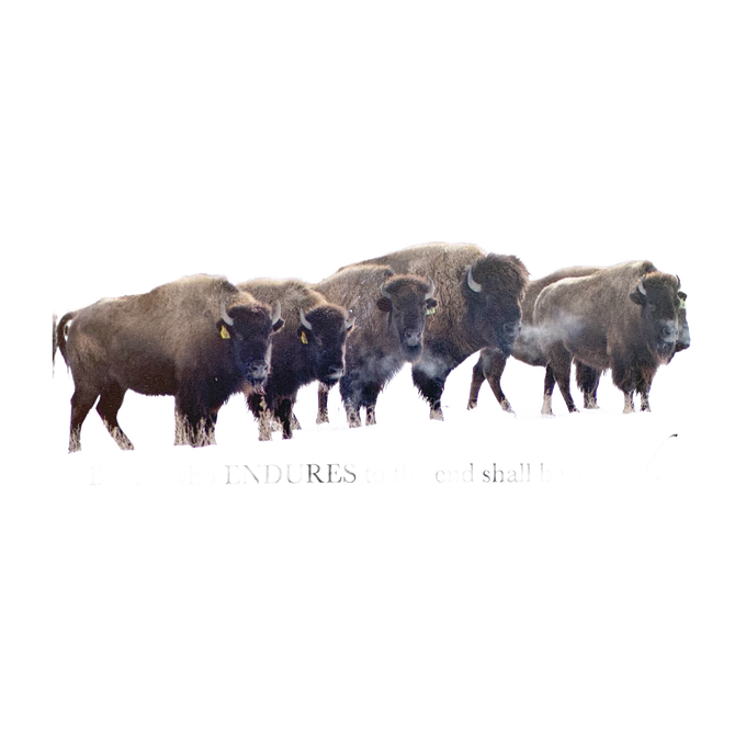 Handcrafted animal magnet featuring a herd of five bison with an inspiring verse, perfect for Home & Decor, Decor, Best Sellers, and Promo Eligible collections.