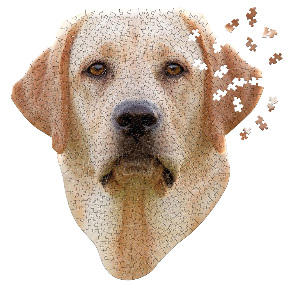 Unique-shaped jigsaw puzzle featuring a detailed Lab dog face with scattered pieces, handcrafted on premium chipboard, ideal for Toys, Books & Games and Best Sellers collections.