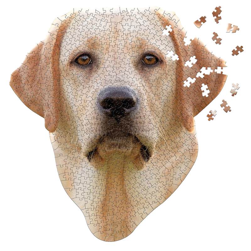 Unique-shaped jigsaw puzzle featuring a detailed Lab dog face with scattered pieces, handcrafted on premium chipboard, ideal for Toys, Books & Games and Best Sellers collections.