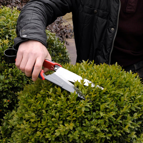 Person trimming dense green shrub with spearsharp shears featuring lightweight design and soft-feel handles, suitable for precise pruning in Farm, Garden & Tool and Lawncare collections.
