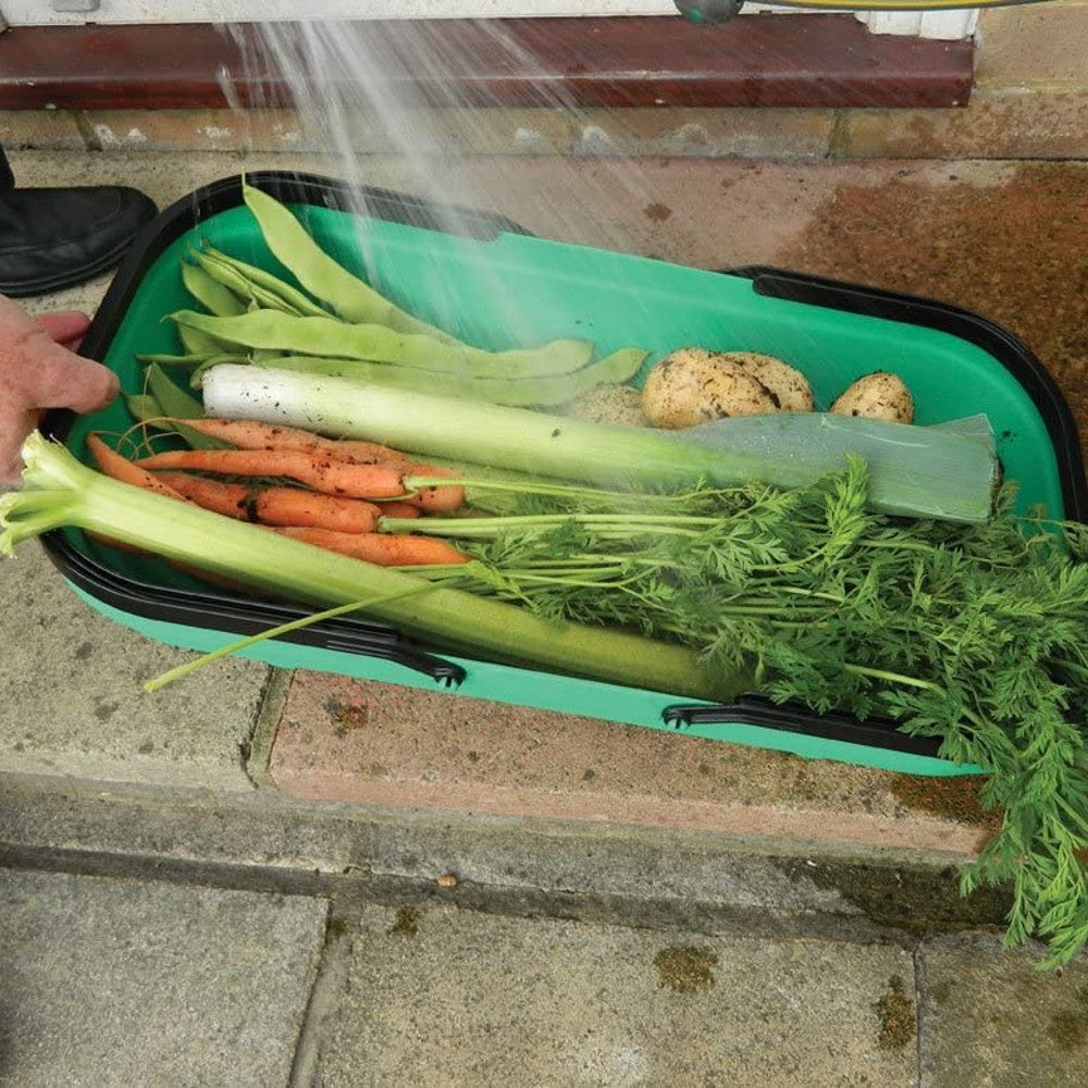 Green colander trug filled with freshly harvested carrots, celery, potatoes, and green beans being rinsed with water outdoors, ideal for farm and garden use.