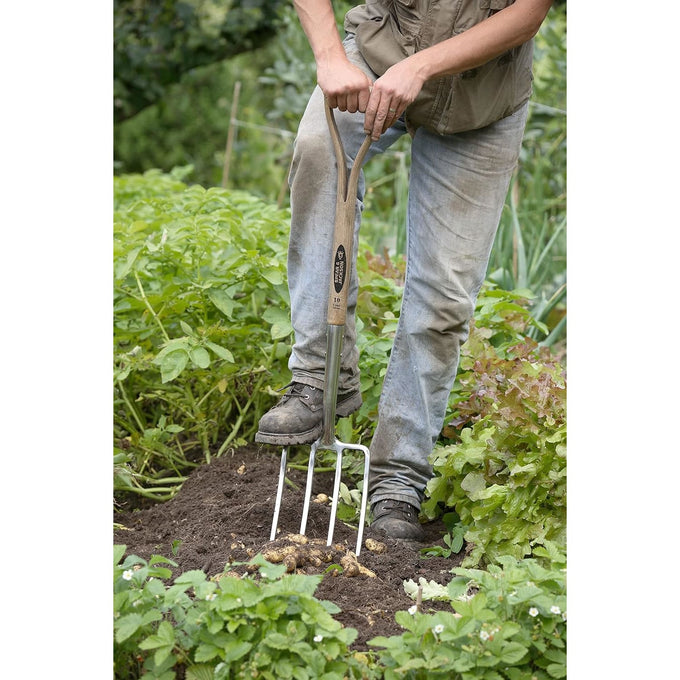 Person using a traditional stainless digging fork with weatherproof hardwood handle to break up soil in a vegetable garden, suited for farm, garden, and lawncare tasks.