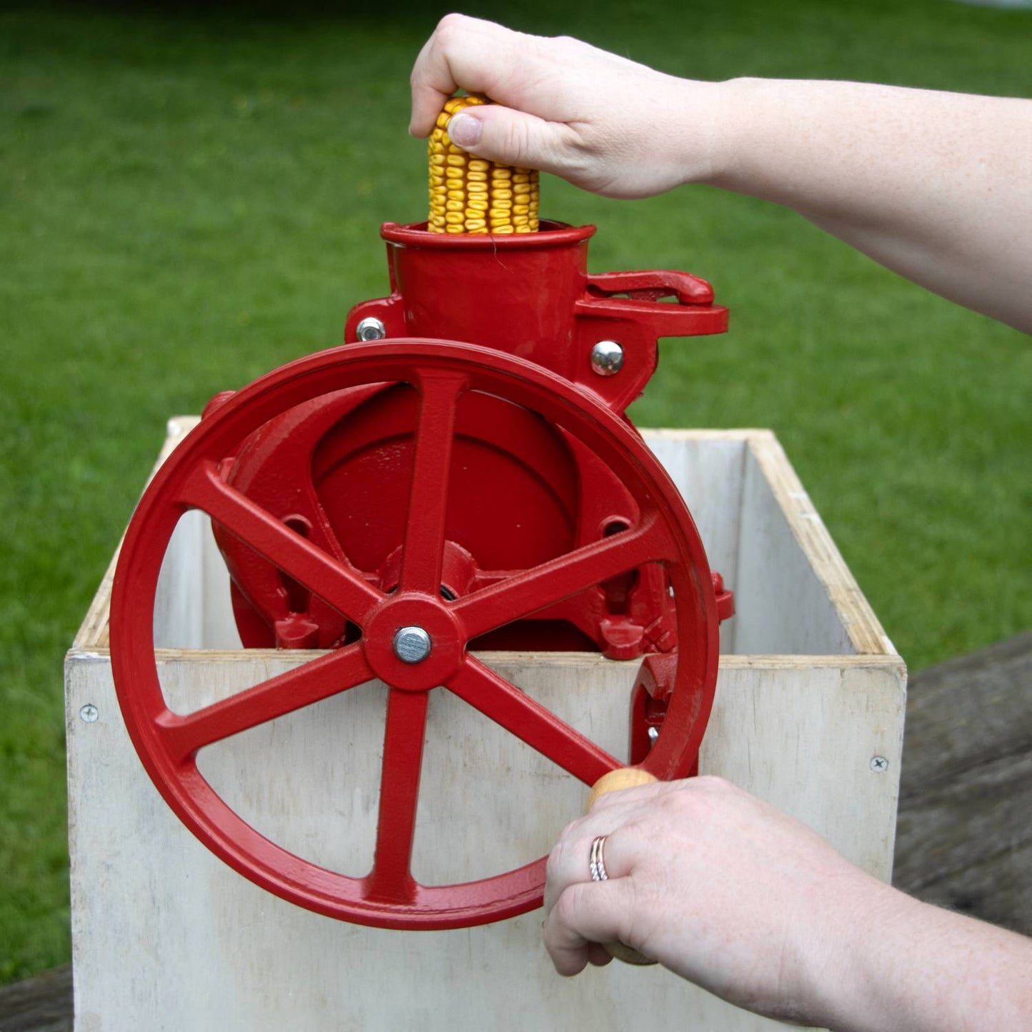 Handcrafted cast iron corn sheller in red with a 10-inch flywheel pulley being operated outdoors to quickly strip kernels, highlighted in Farm, Garden & Tool and Farm Tools best sellers collections.