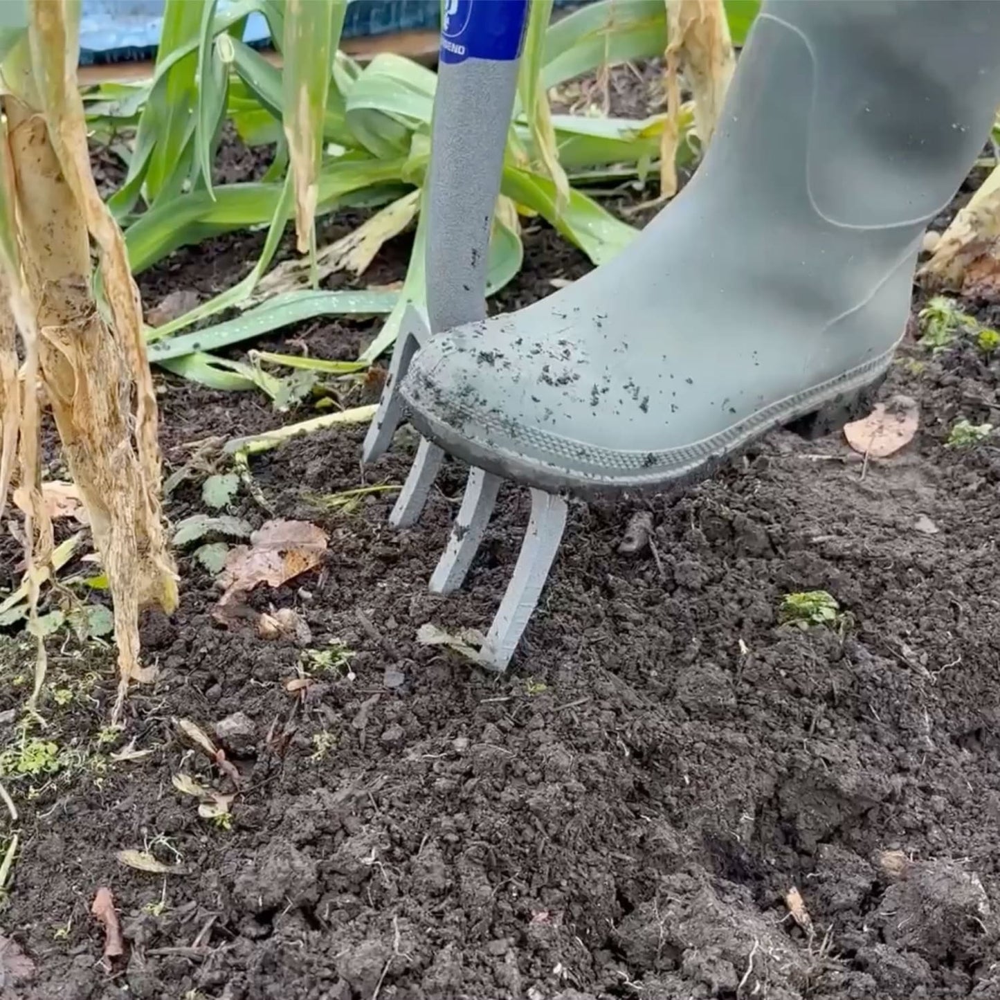 Gardener using a heavy-duty carbon steel digging fork with an ergonomic Supergrip handle to loosen soil among plants, suitable for farm, garden, and lawncare tasks in Best Sellers and Digging and Cultivating collections.