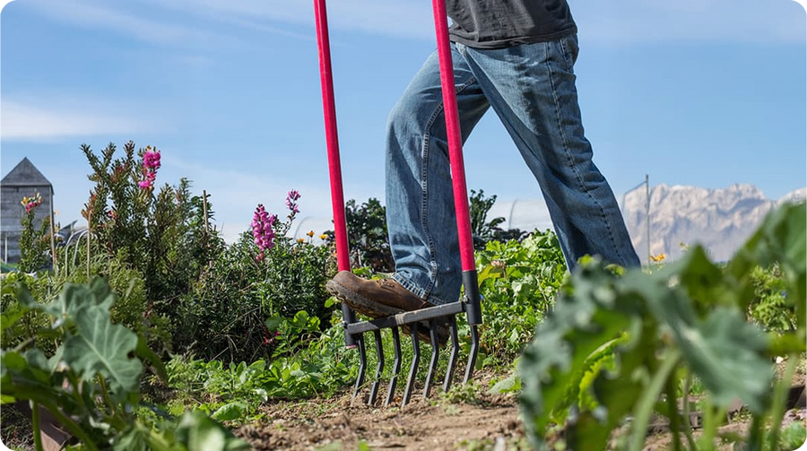 digging and cultivating