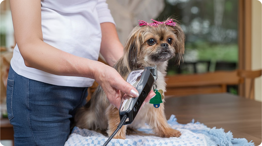 pet supplies
